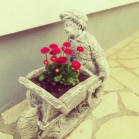 Ines Daire Novi Vinodolski