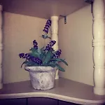 Apartment Ines *