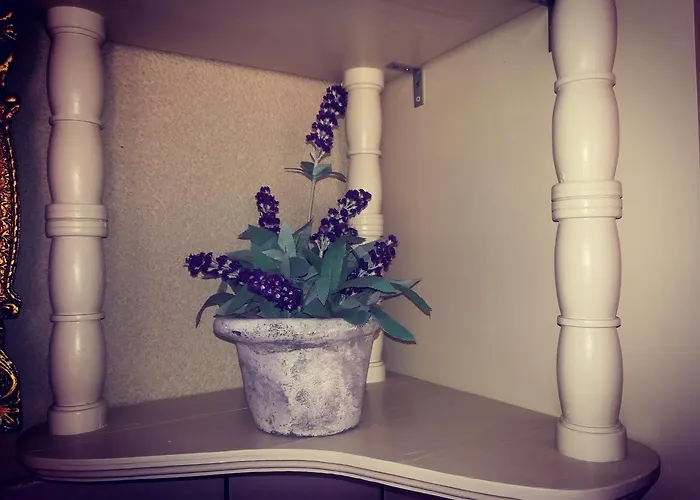 Apartman Ines *